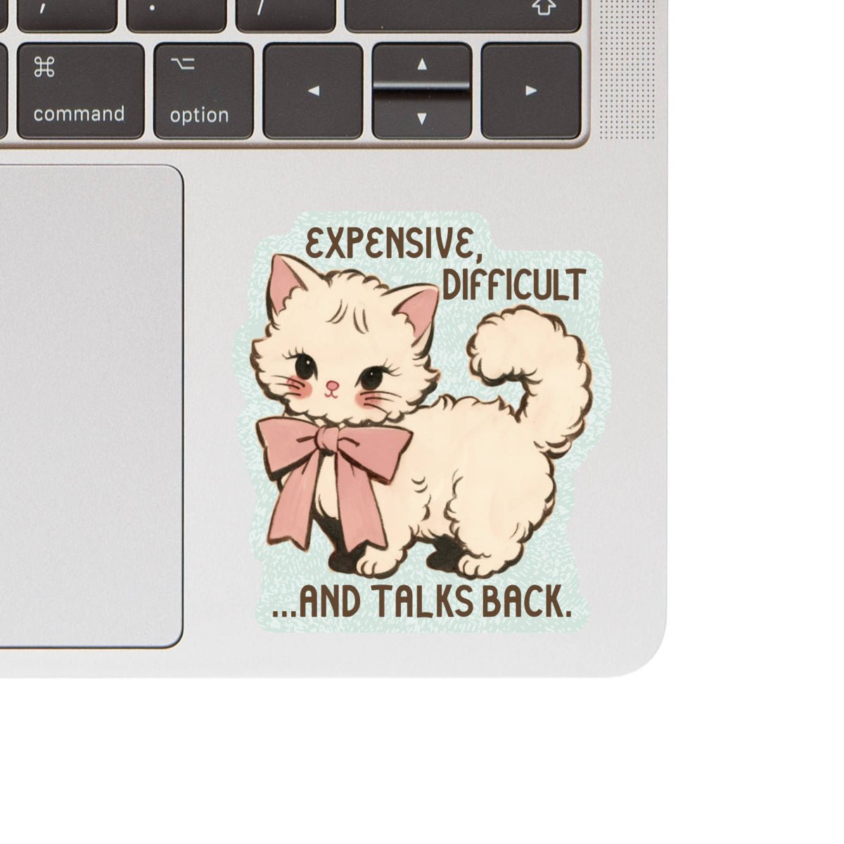 Expensive Difficult Kitty Cat High Quality Vinyl Sticker - Twirls + Twigs