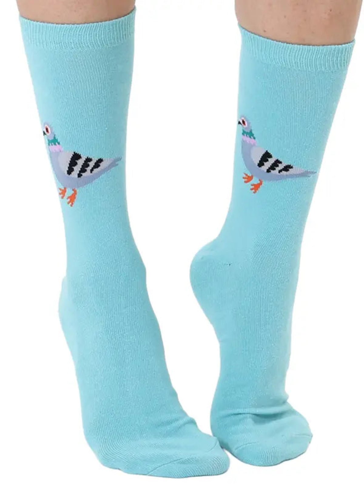 3D Packaged Crew Socks - City Pigeon - Sky Blue - Twirls + Twigs