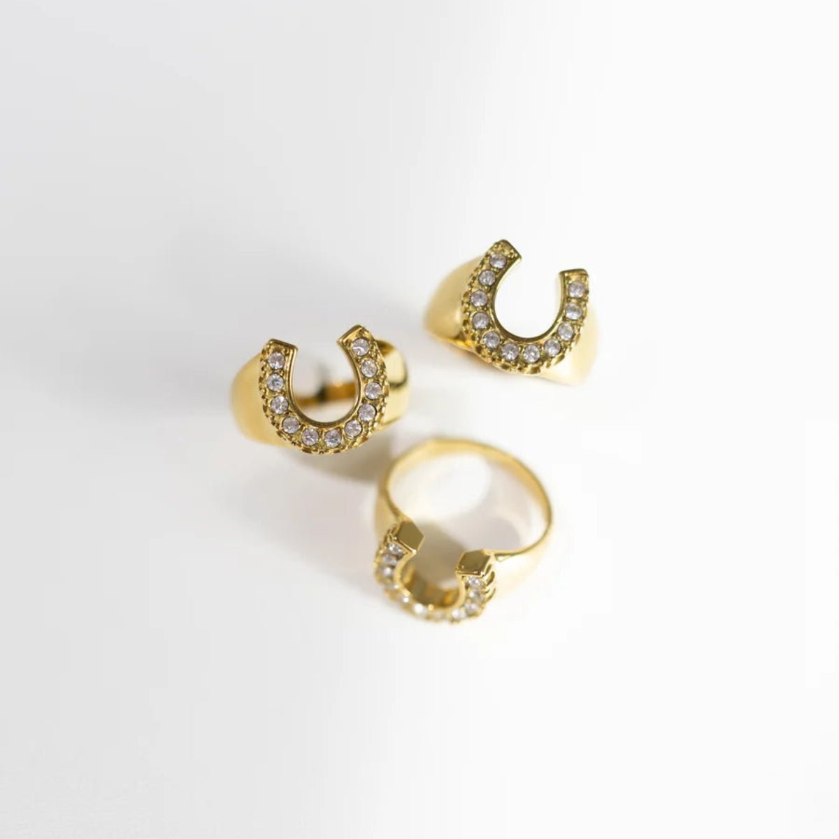 Relvi Horseshoe Ring - Twirls + Twigs