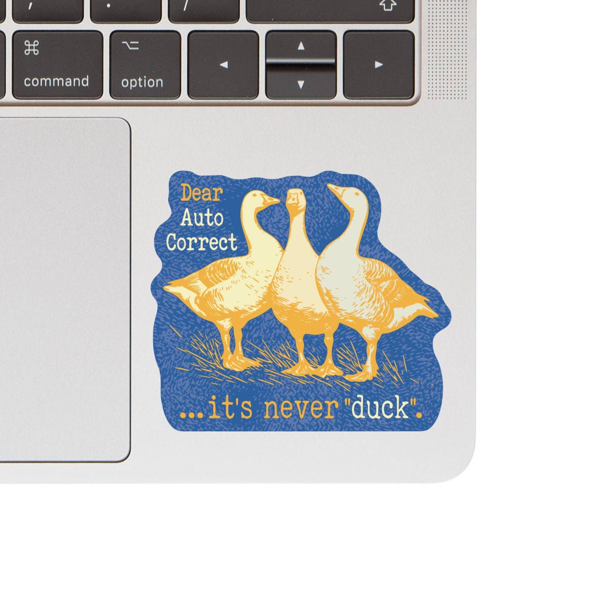 It's Never Duck Funny Swear High Quality Vinyl Sticker - Twirls + Twigs