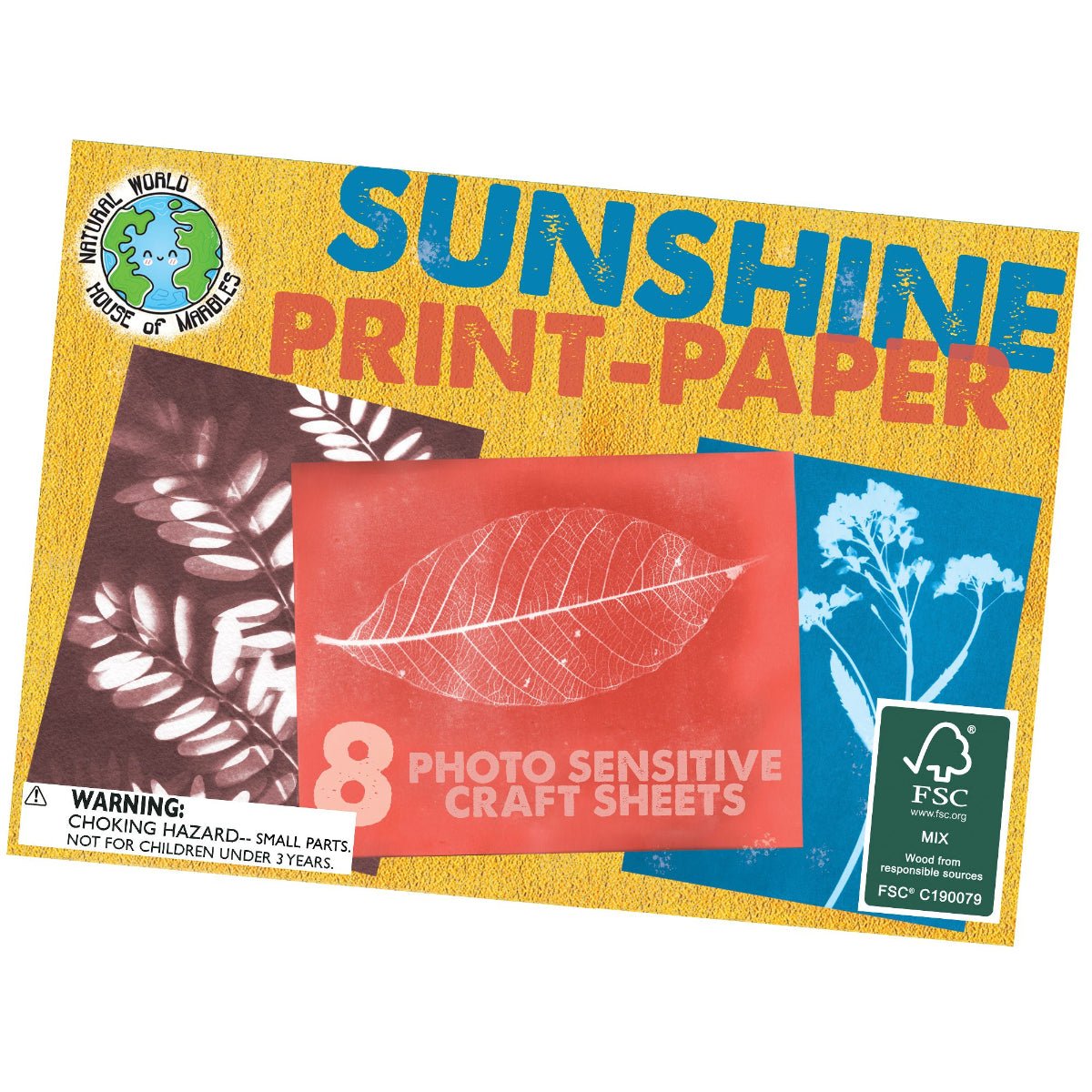 Sunshine Print Paper Kit - Twirls + Twigs