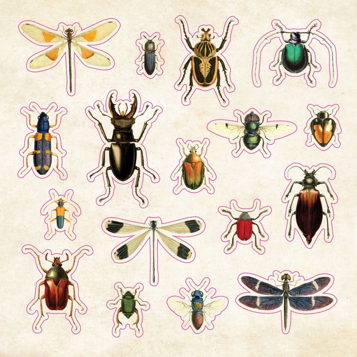 The Sticker Book of Curiosities - Twirls + Twigs
