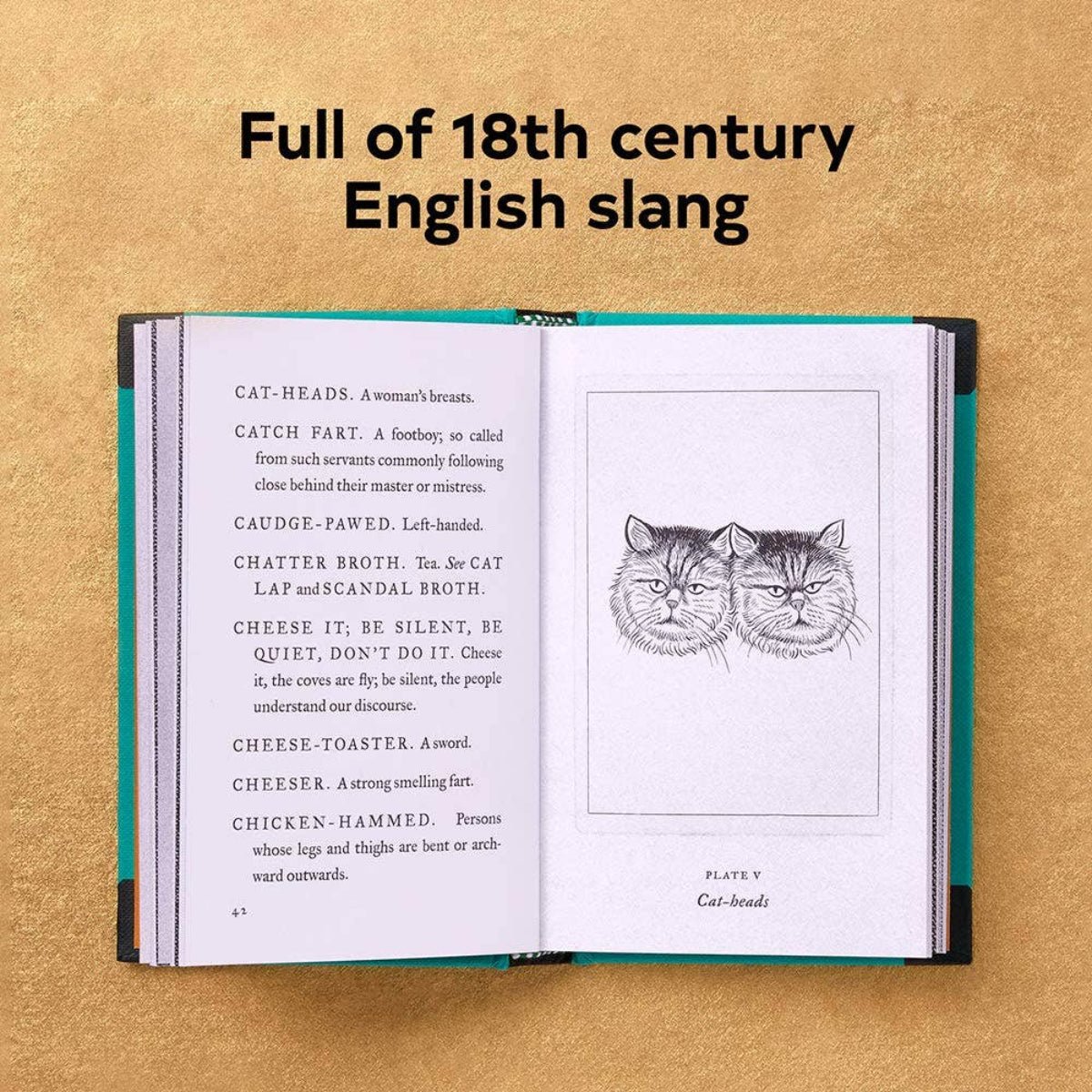A Pocket Dictionary of the Vulgar Tongue - Twirls + Twigs