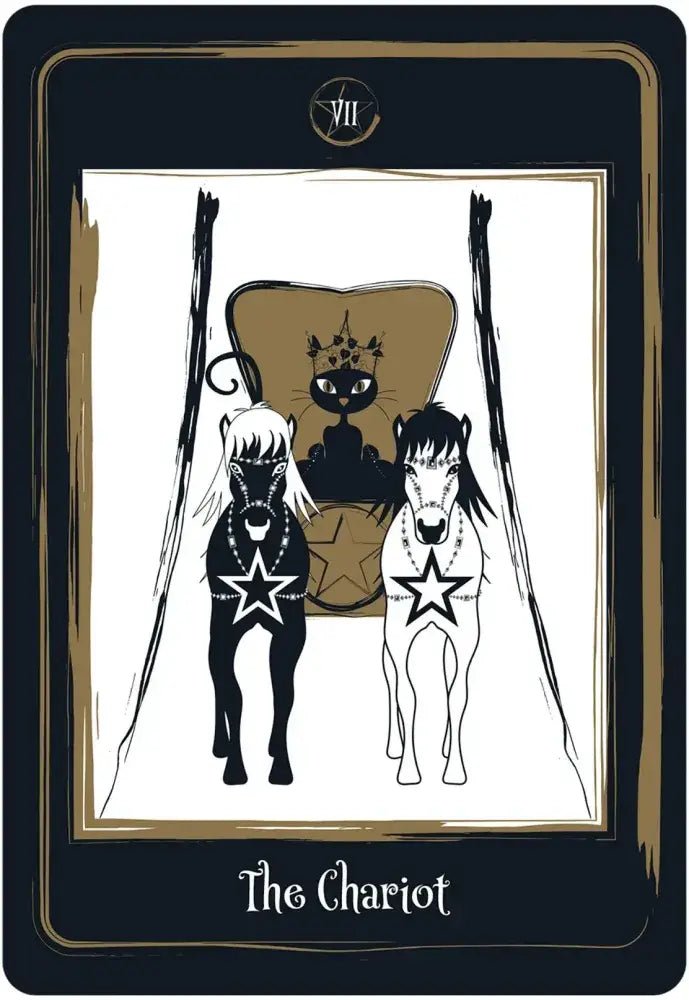 Golden Black Cat Tarot - Twirls + Twigs