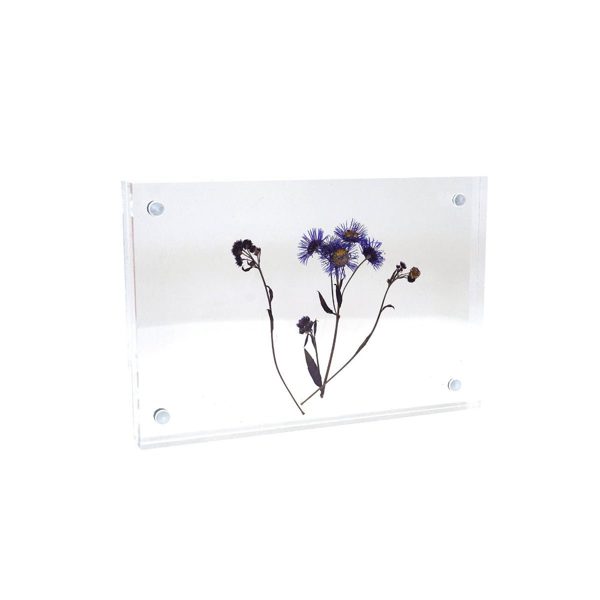 Acrylic Standing Frame 4"x6" - Twirls + Twigs