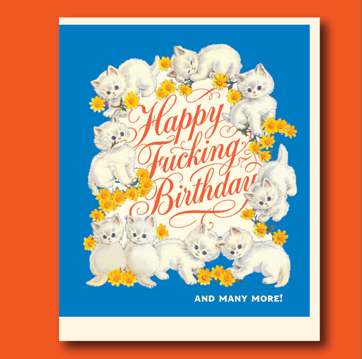 KITTENS BIRTHDAY MORE! - Twirls + Twigs