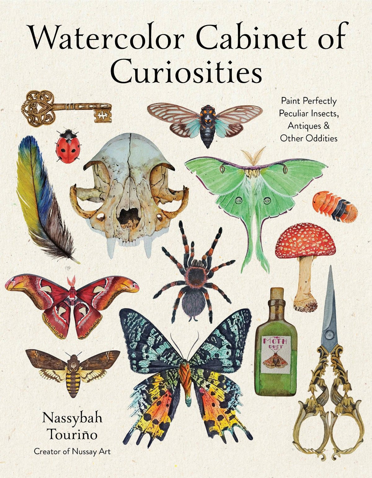 Watercolor Cabinet Of Curiosities - Twirls + Twigs
