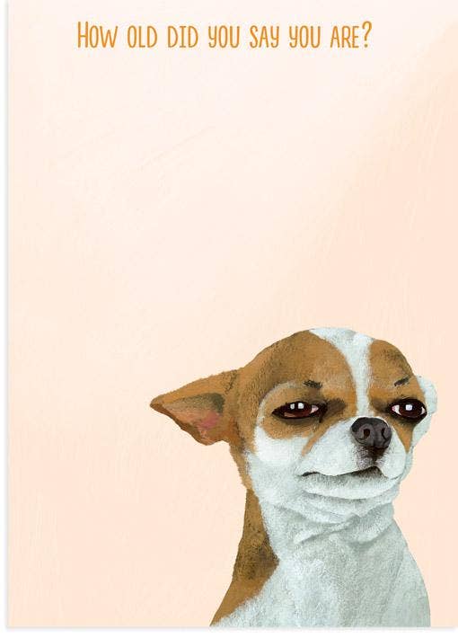 Suspicious Dog Birthday Cad - Twirls + Twigs