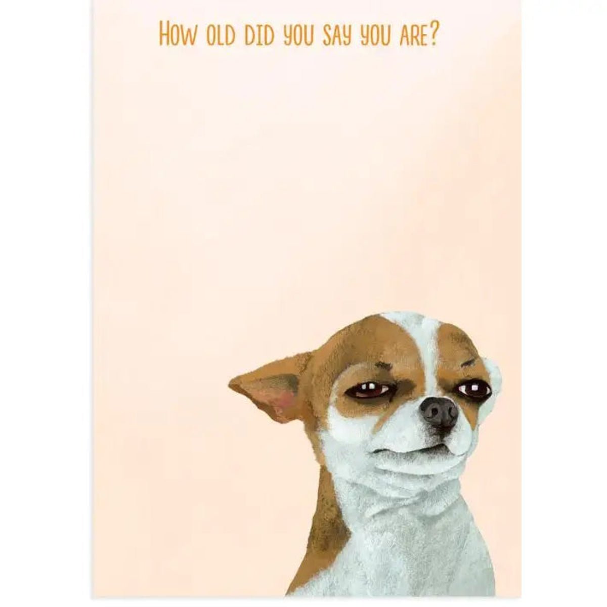 Suspicious Dog Birthday Card - Twirls + Twigs