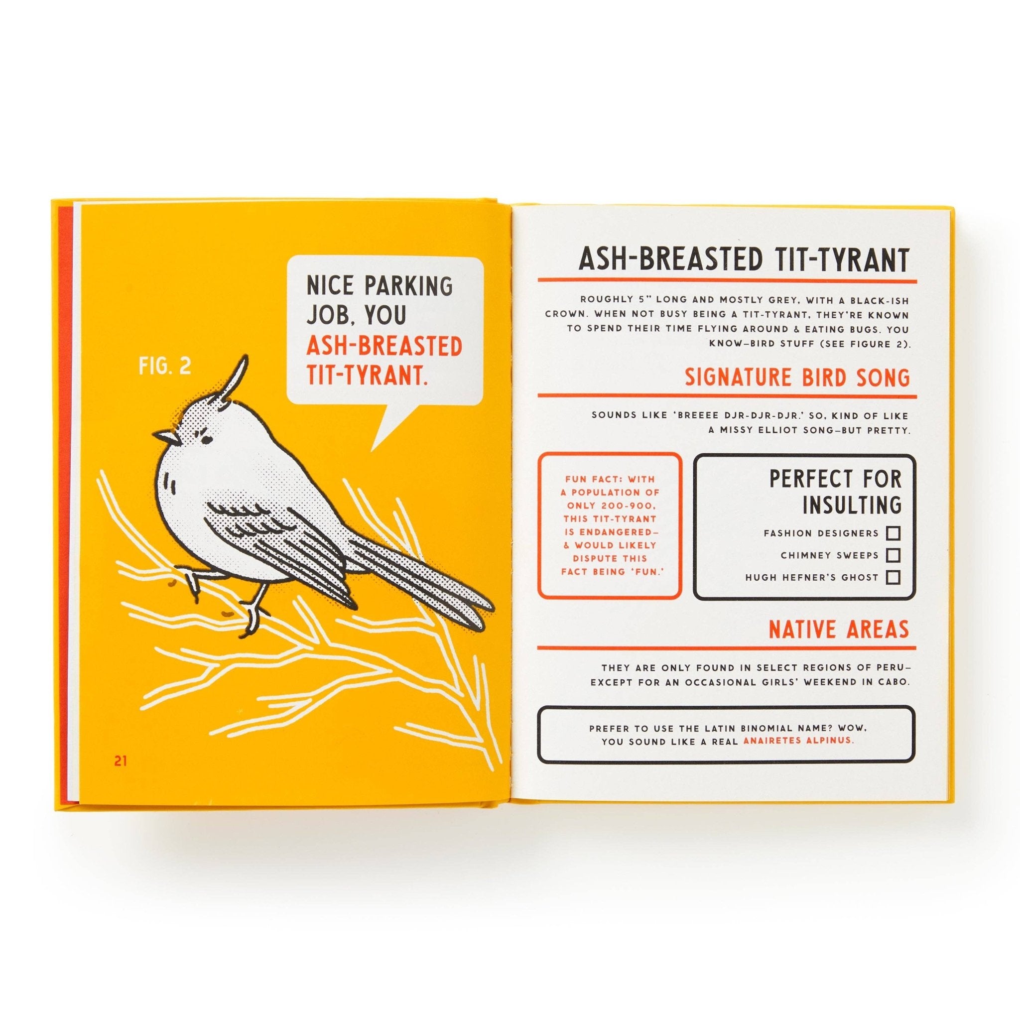 Brass Monkey Illustrated Guide to Birds - Twirls + Twigs