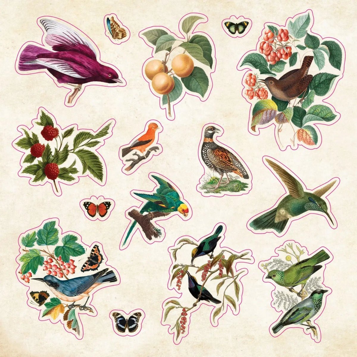 The Sticker Book of Curiosities - Twirls + Twigs