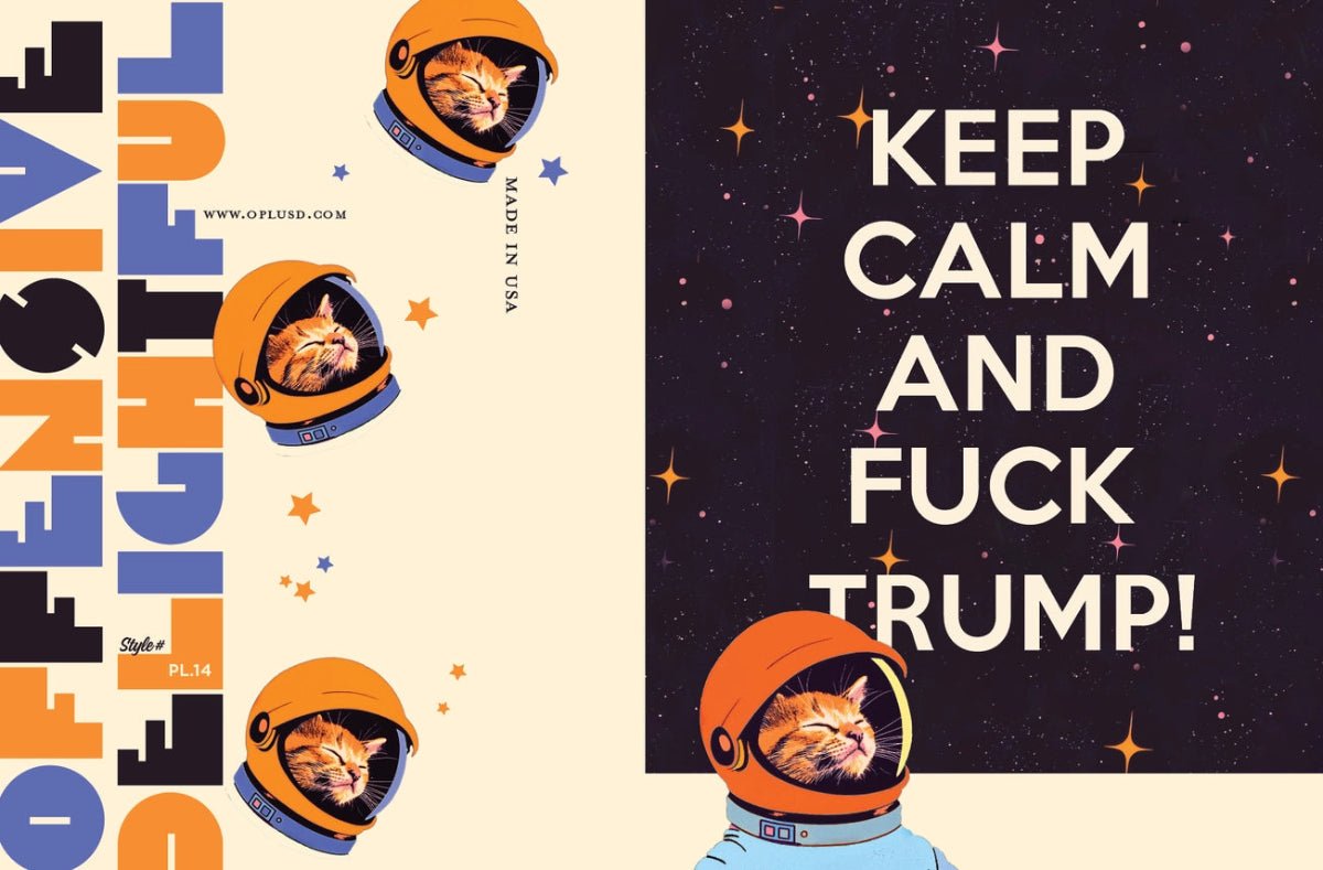 Keep Calm Space Cat Political Greeting Card - Twirls + Twigs