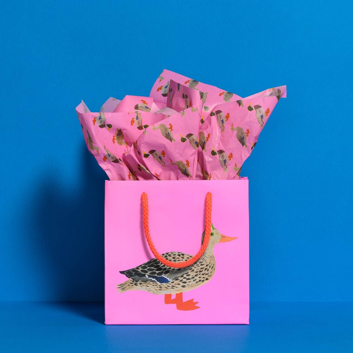 Quacky Birthday Tissue Paper: 5 Sheets - Twirls + Twigs