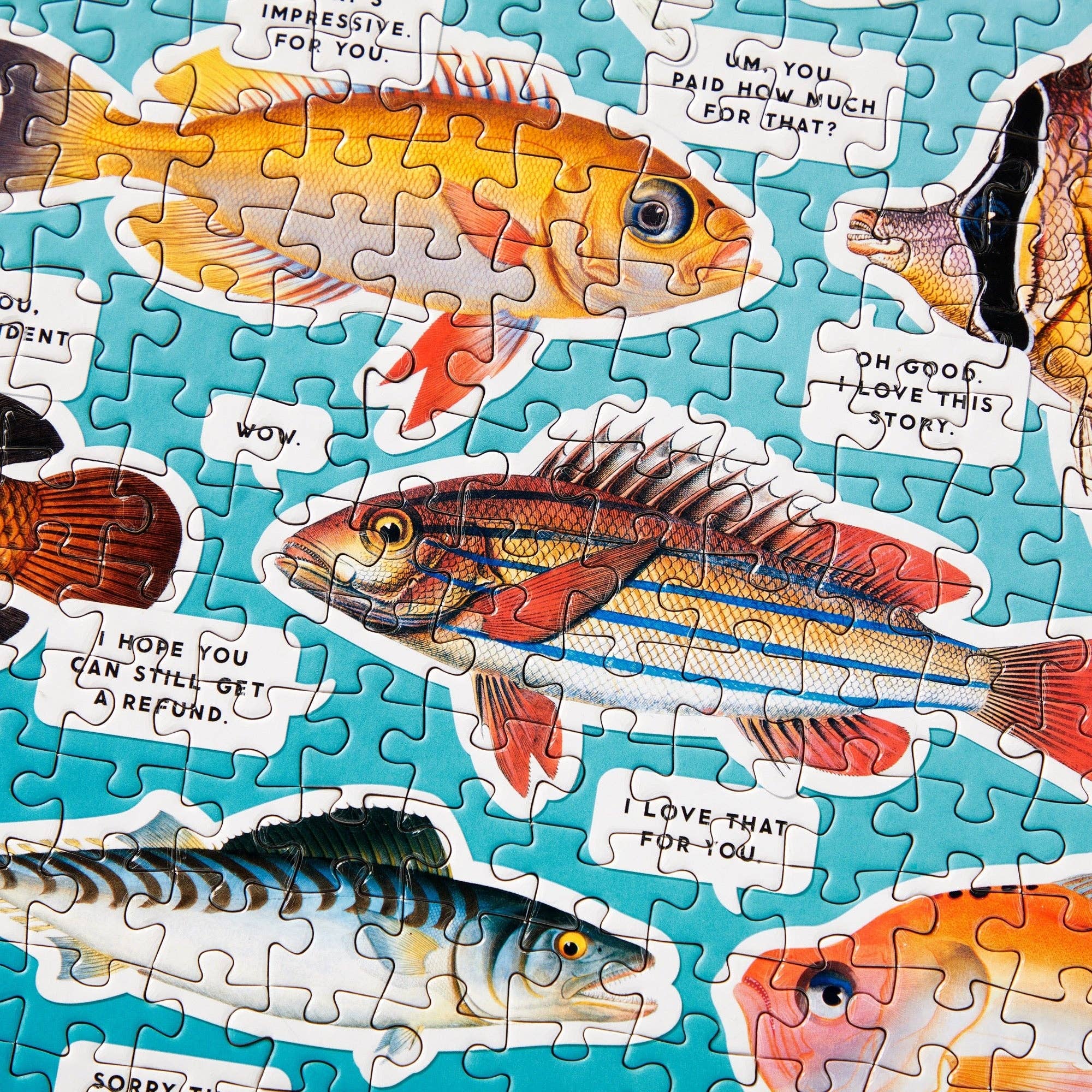 Judgy Fish 1000 Piece Puzzle - Twirls + Twigs