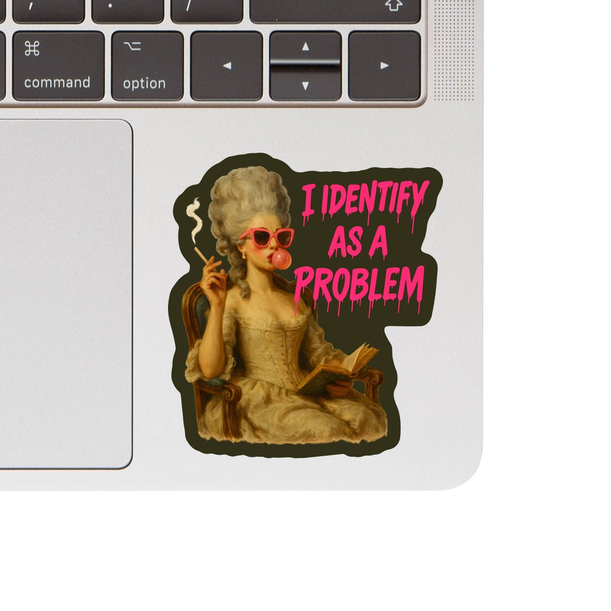 I Identify As A Problem Humor High Quality Vinyl Sticker - Twirls + Twigs