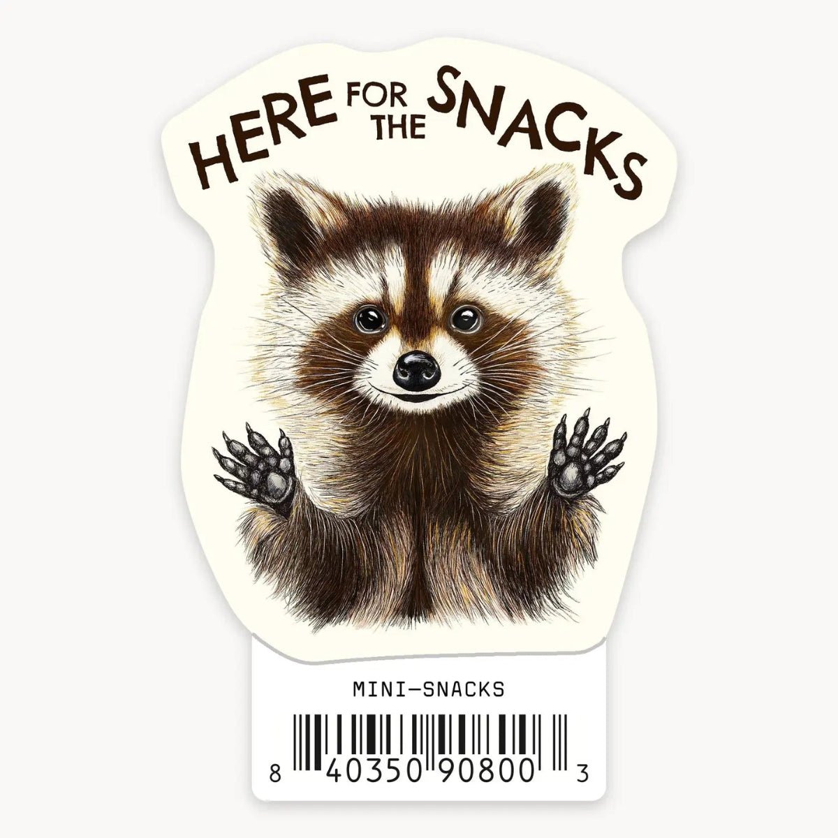 Raccoon Snacks - Mini Sticker - Twirls + Twigs