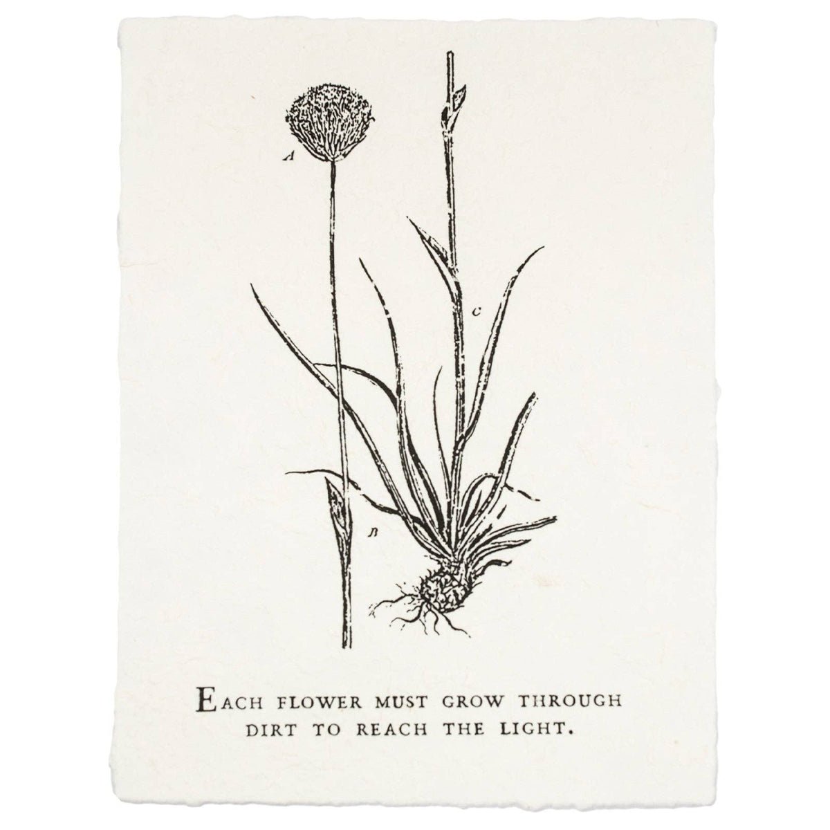 Each Flower Must Grow Botanical Handmade Paper Print - Twirls + Twigs