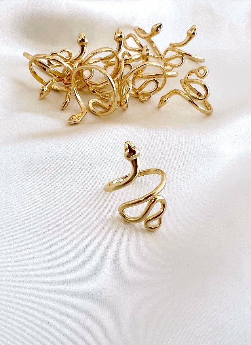 Snake Ring (Gold + Silver): Silver - Twirls + Twigs