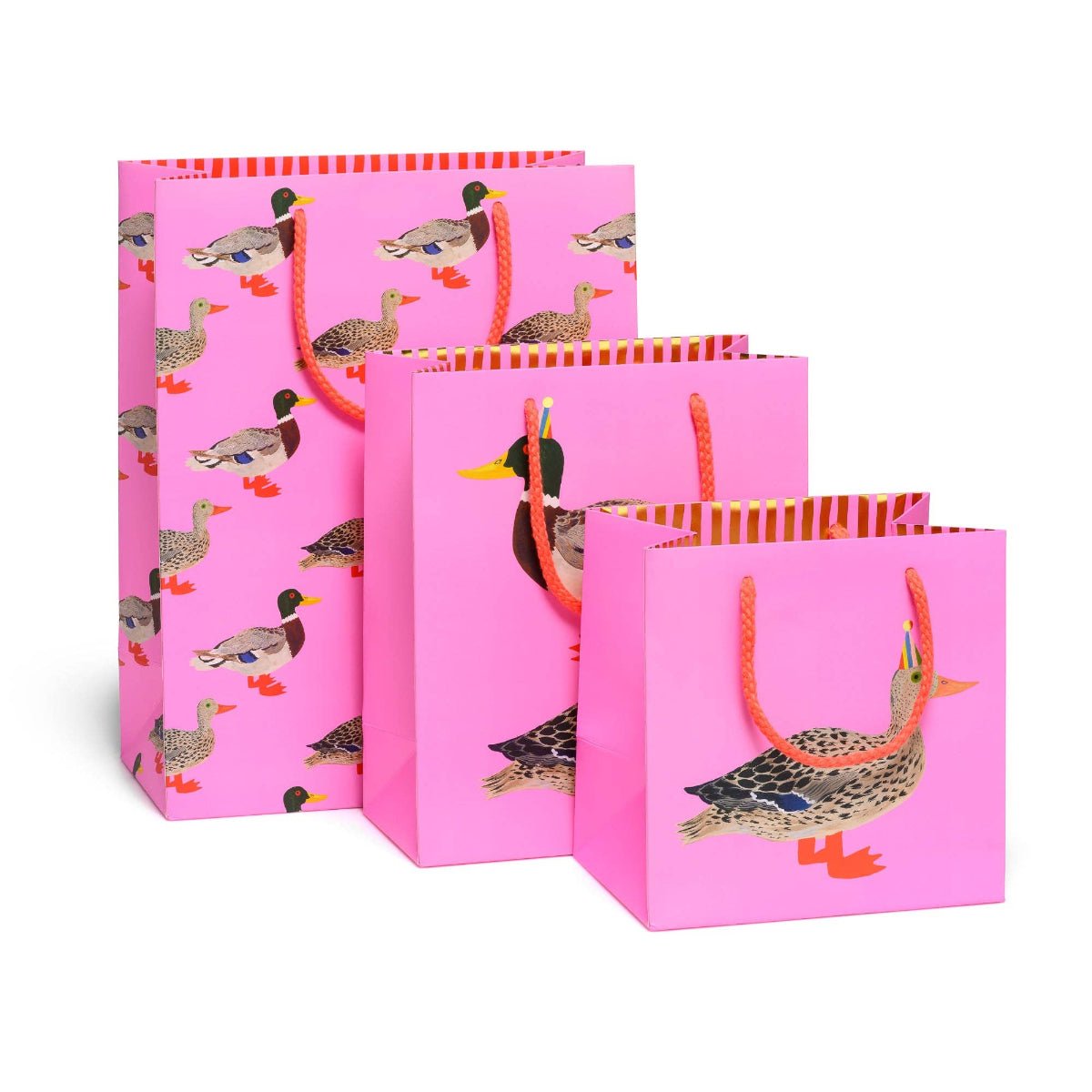 Quacky Birthday Gift Bag: Small - Twirls + Twigs