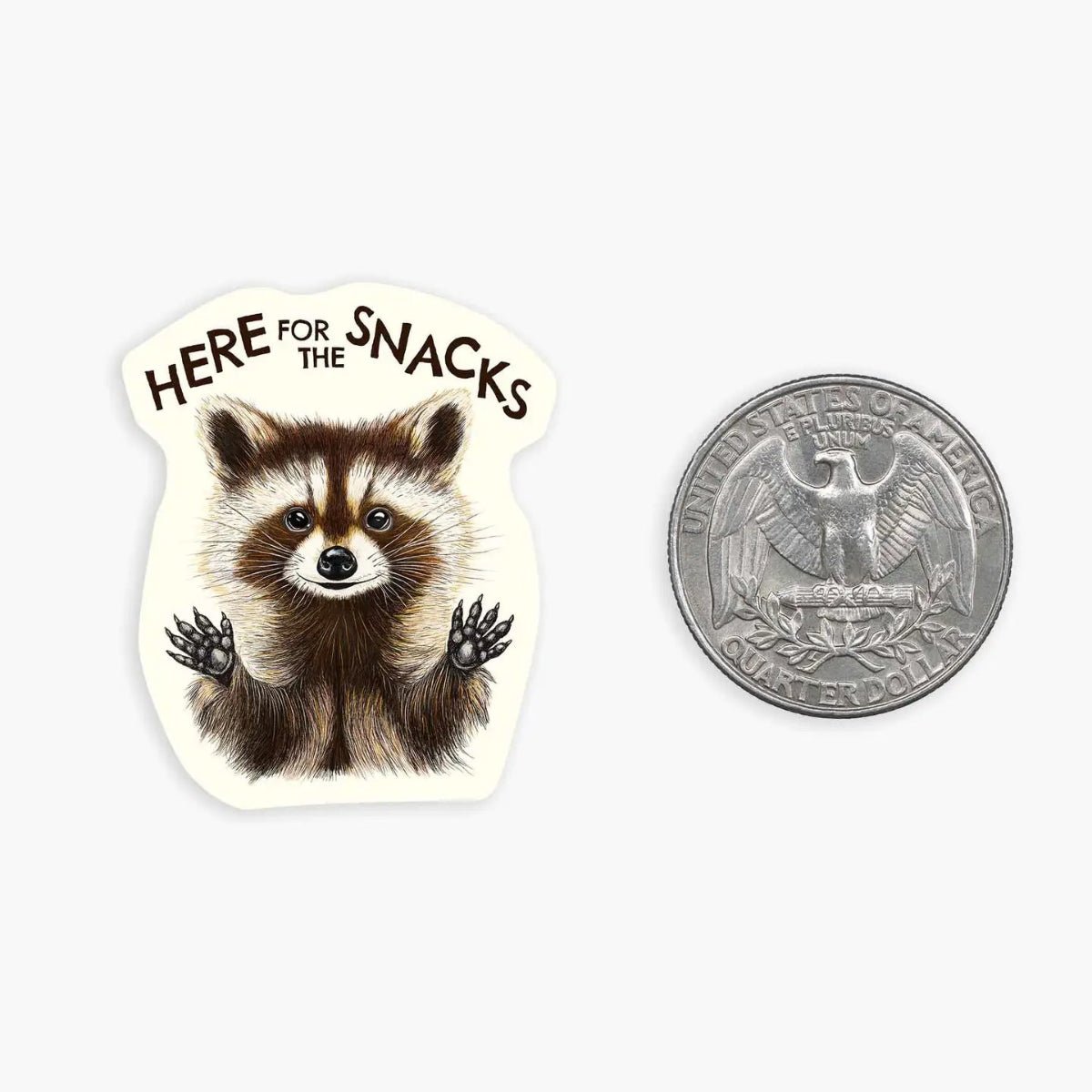 Raccoon Snacks - Mini Sticker - Twirls + Twigs