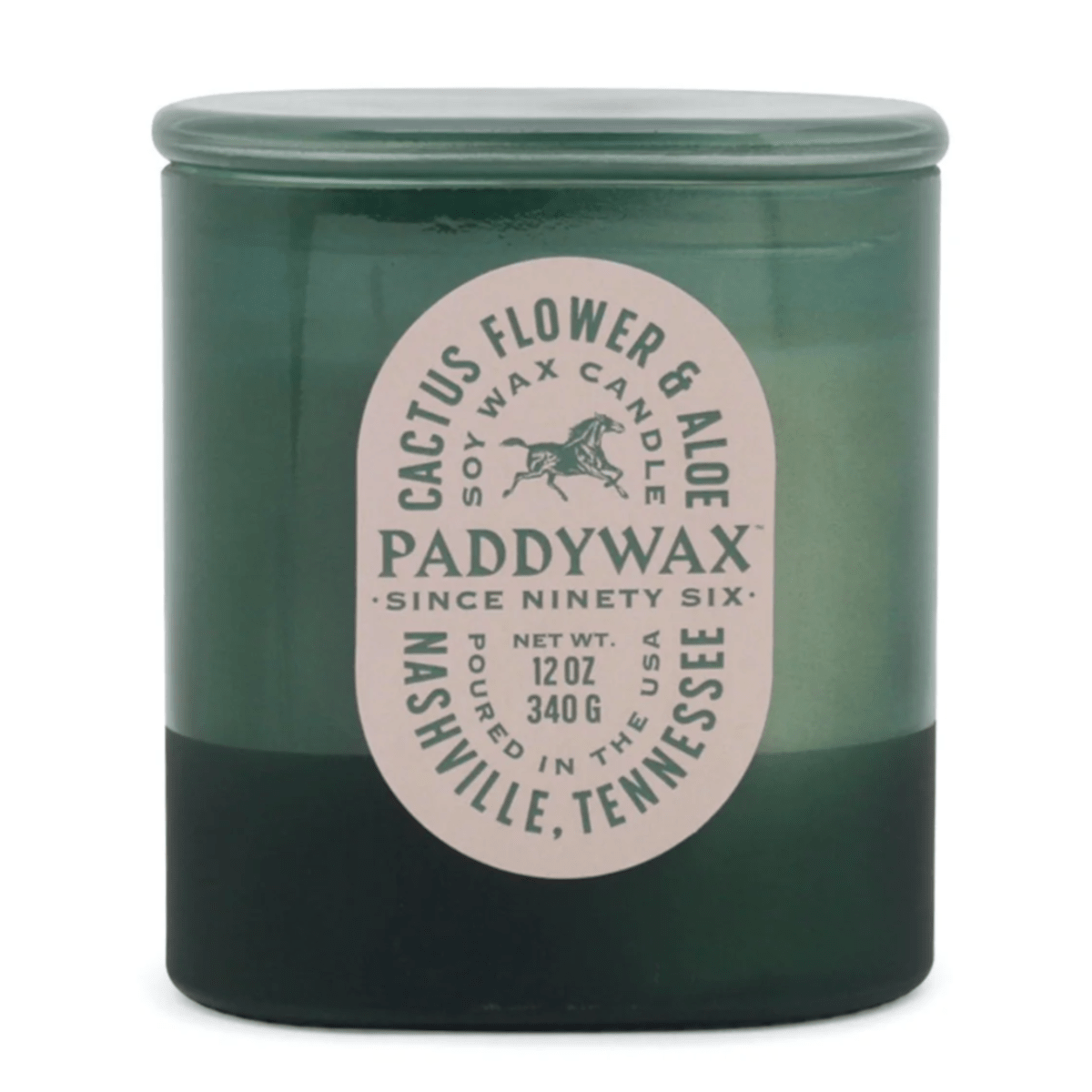 Cactus Flower + Aloe-Vista 12 oz Candle - Twirls + Twigs