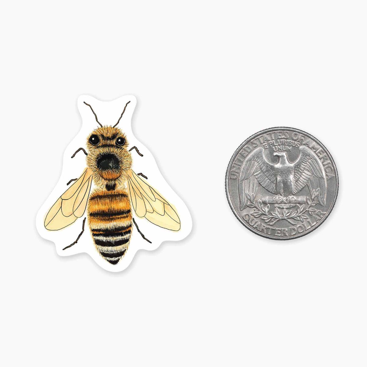 Bee - Mini Sticker - Twirls + Twigs