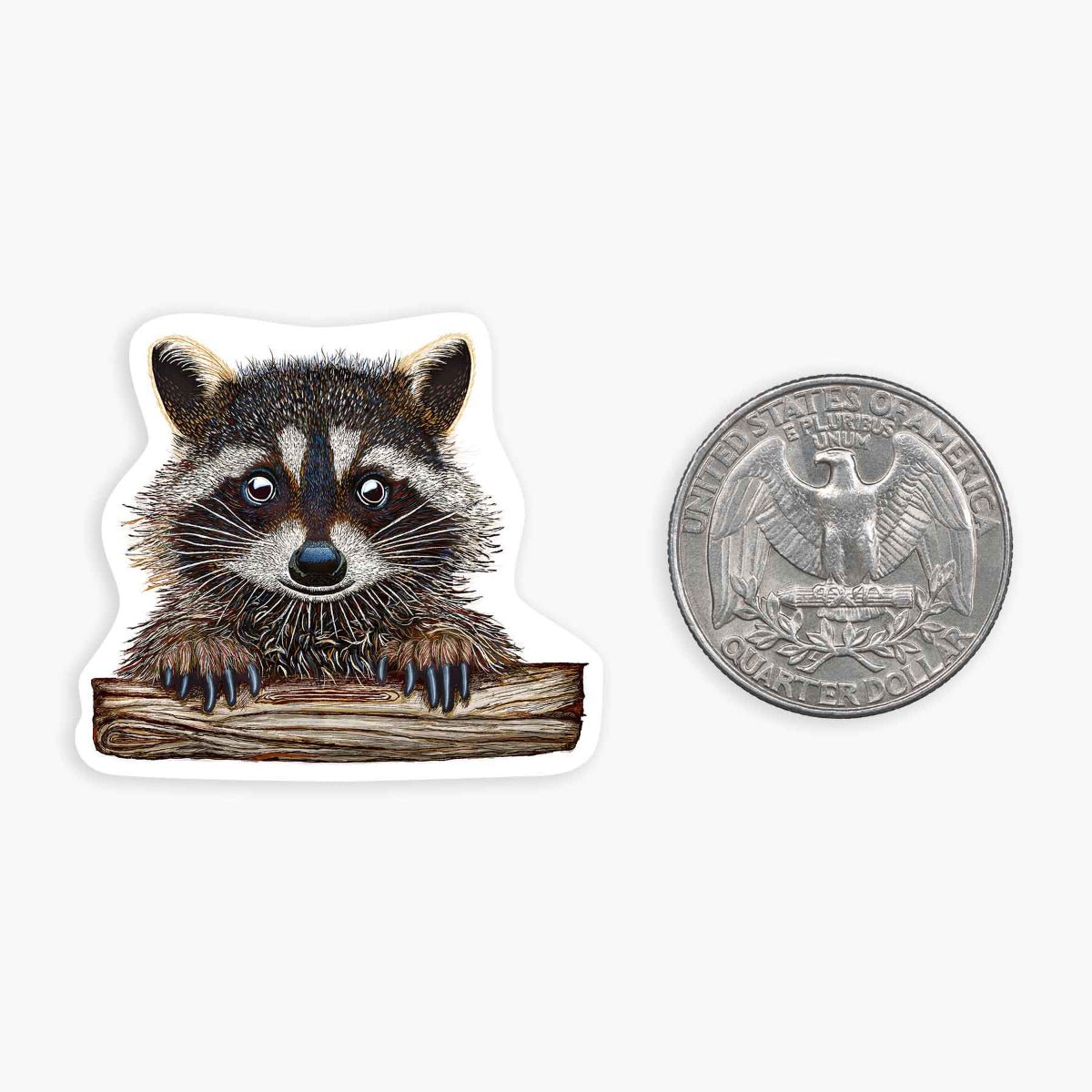 Rocky Raccoon - Mini Sticker - Twirls + Twigs