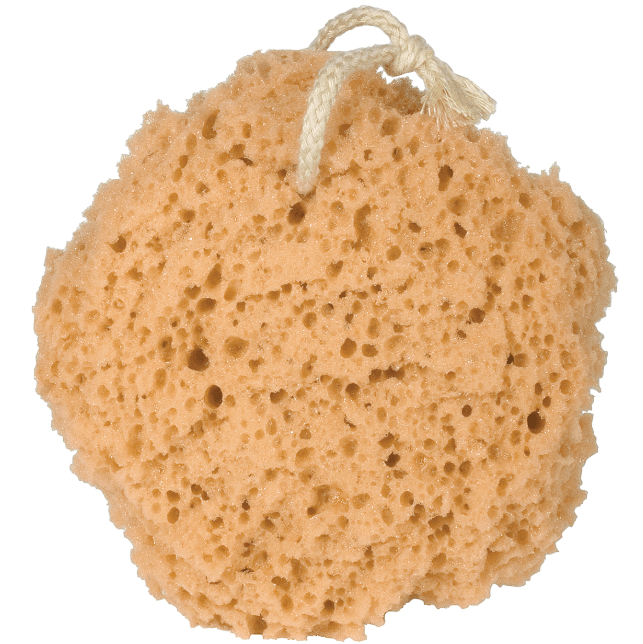 Synthetic 5" Bath Sponge on Rope - Twirls + Twigs