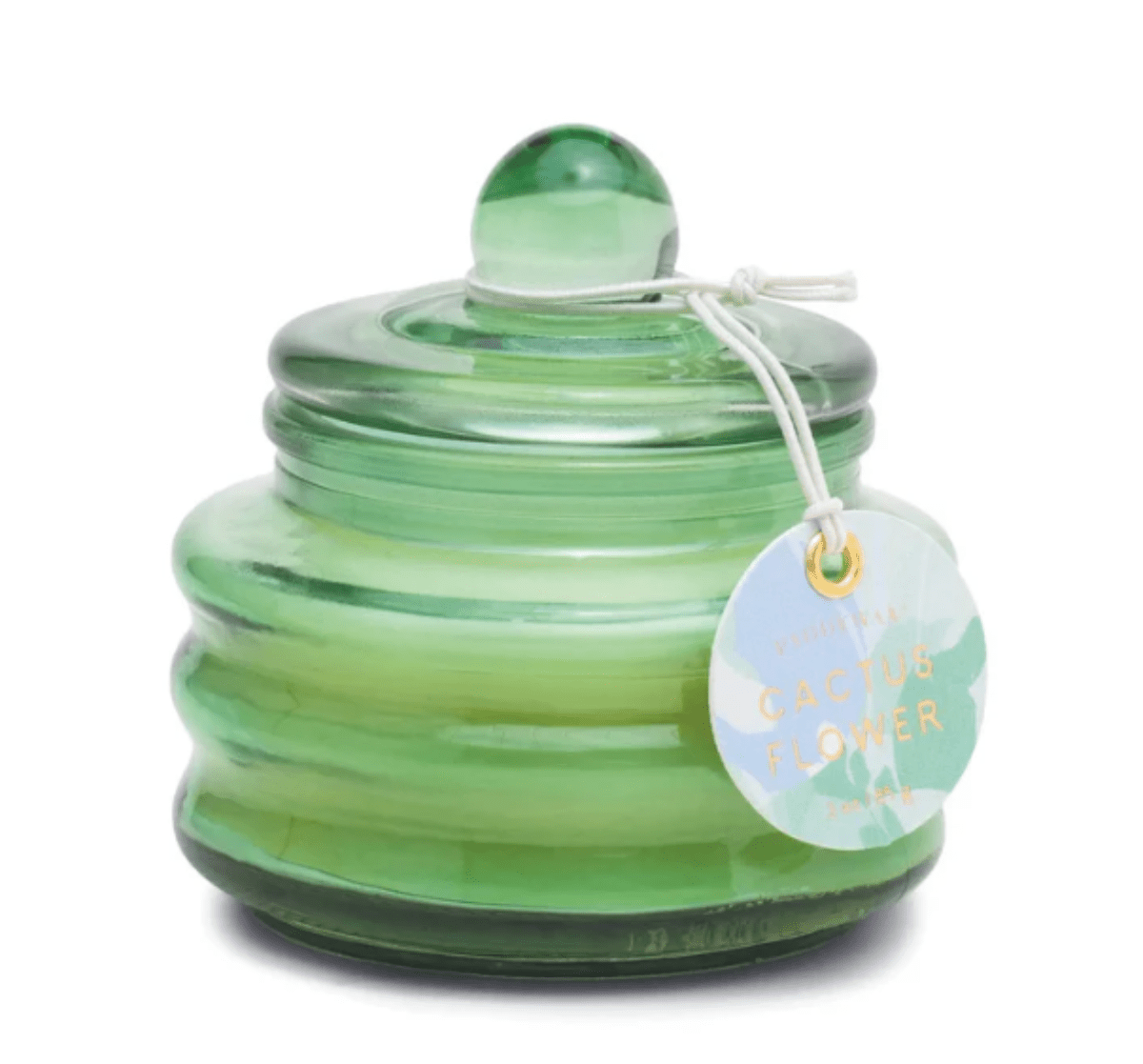 Beam 3 oz Candle - Cactus Flower - Twirls + Twigs