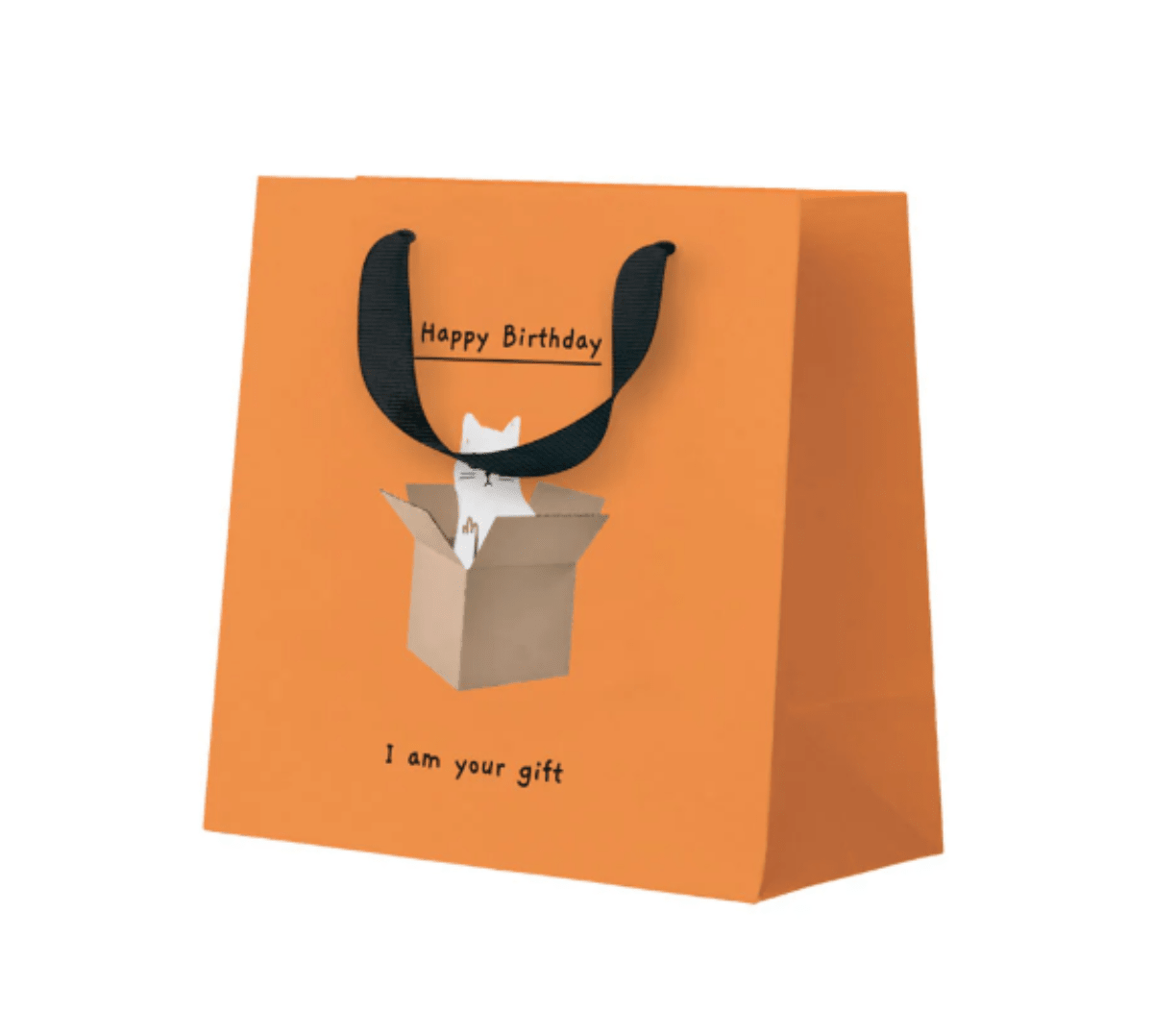 Ken The Cat Mini Gift Bag - Twirls + Twigs