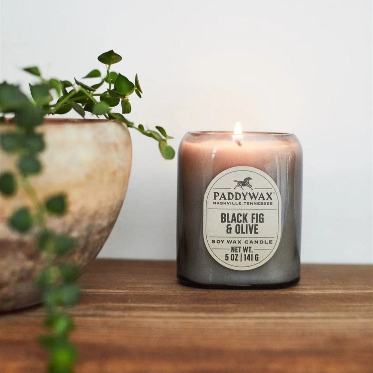 Vista 5 oz Candle - Black Fig & Olive - Twirls + Twigs