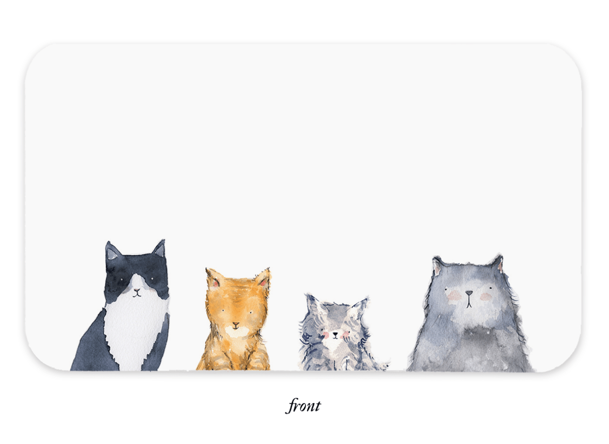 Cat's Meow Little Notes® NEW 55 Count - Twirls + Twigs