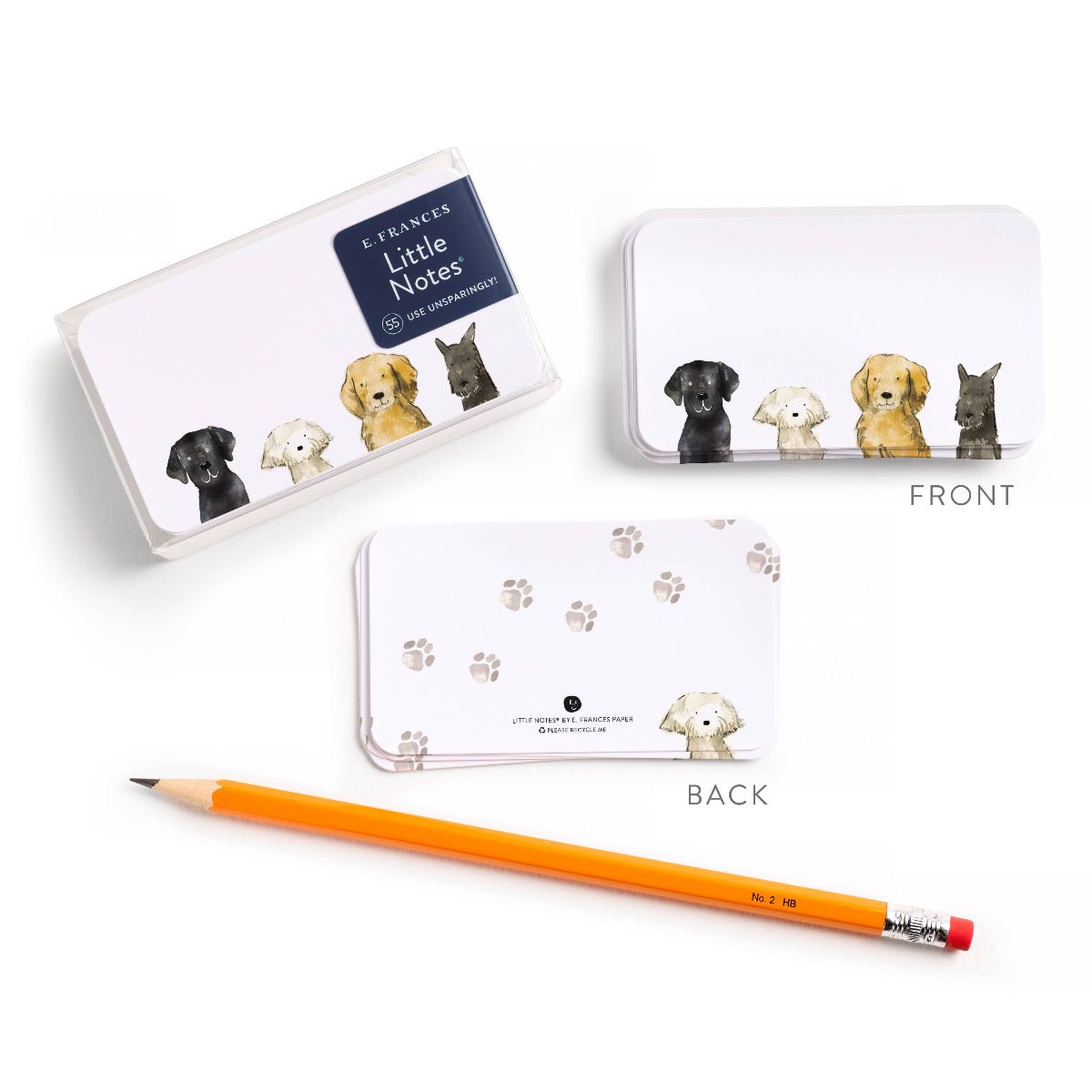 Dog Days Little NotesĀ® NEW 55 Count - Twirls + Twigs