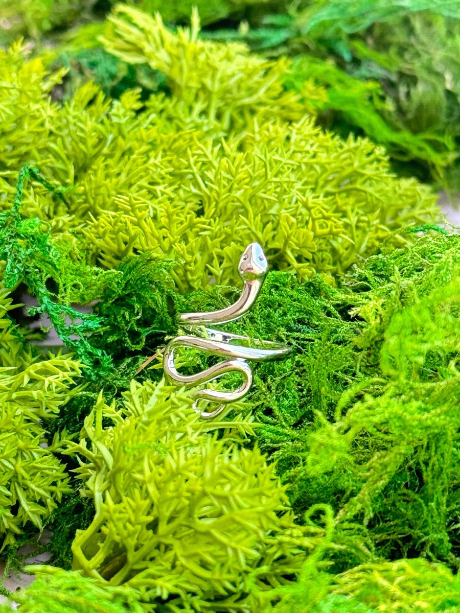Snake Ring (Gold + Silver): Silver - Twirls + Twigs