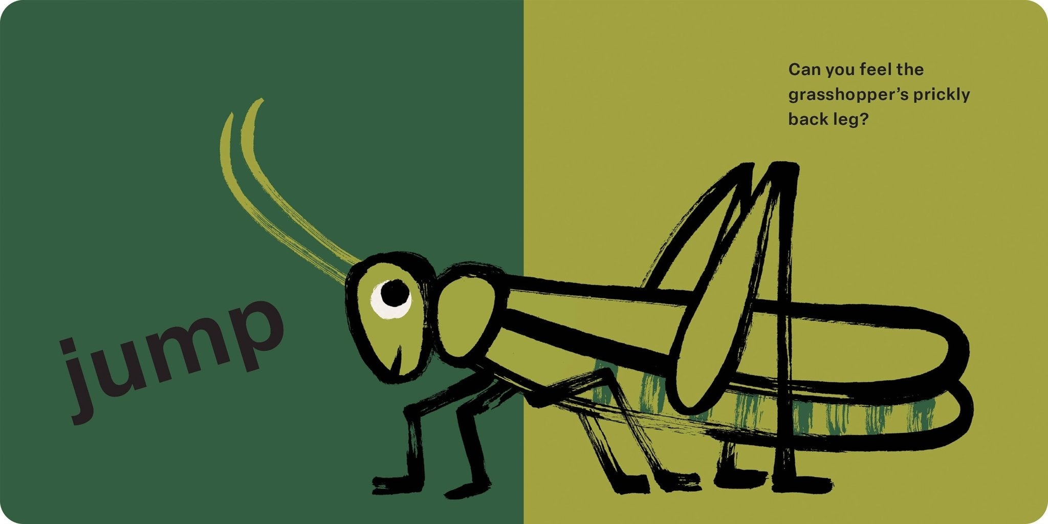 Spring Street Touch and Feel: Bugs by Boxer Books - Twirls + Twigs