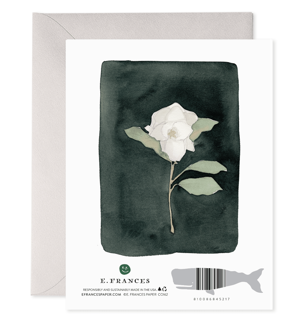 White Flower Condolence Greeting Card - Twirls + Twigs