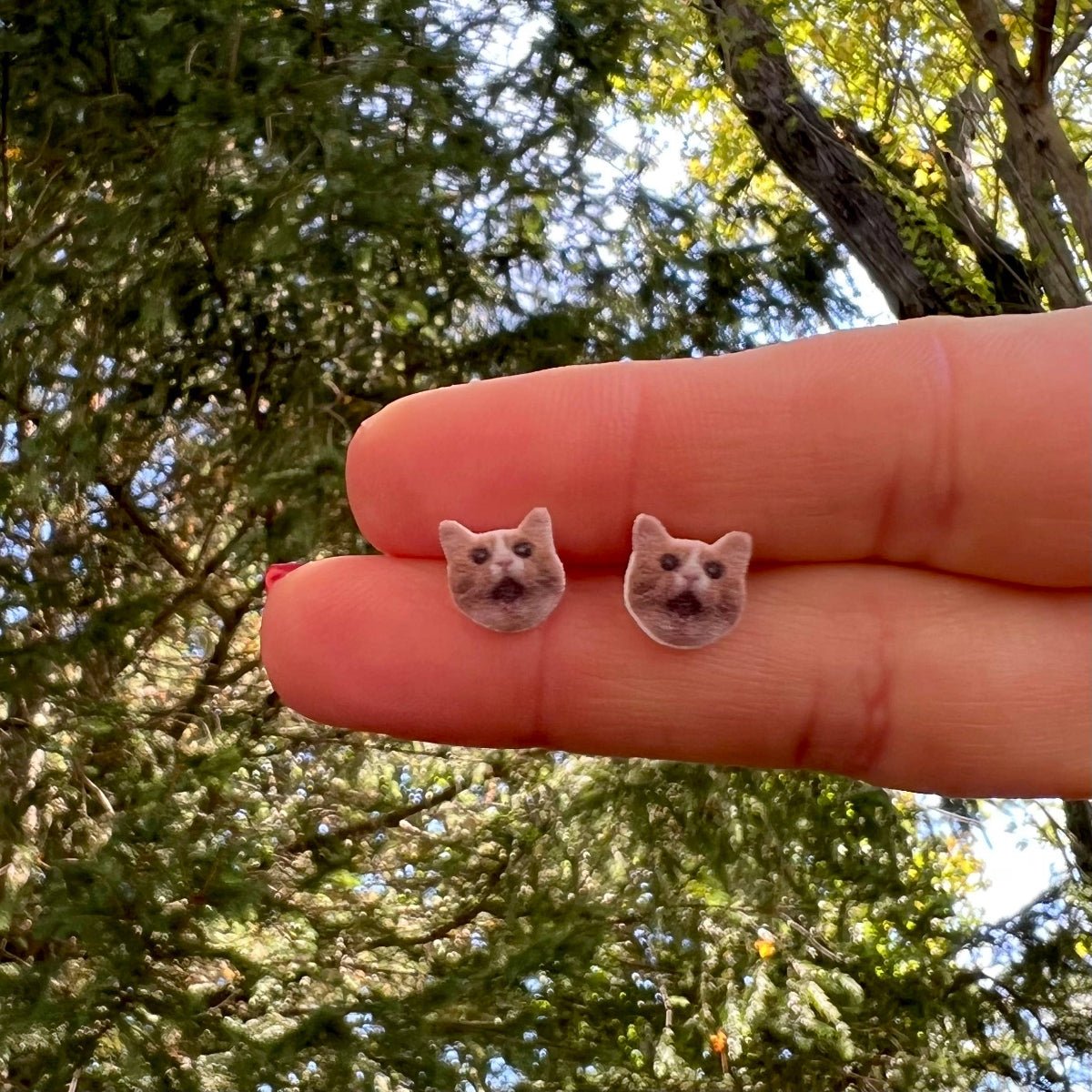 Surprised Kitty Earrings - Twirls + Twigs