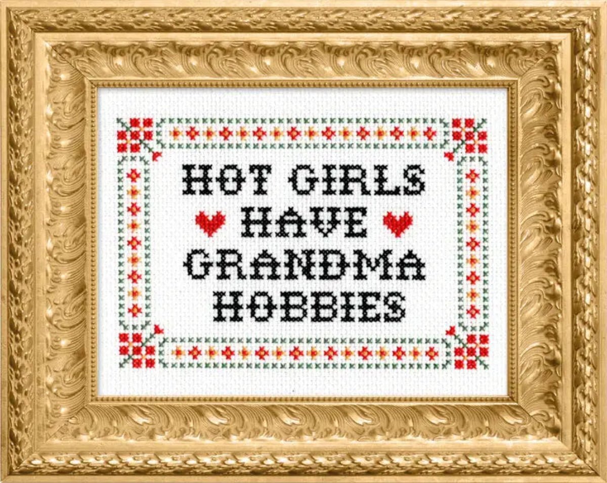 Hot Girls Have Grandma Hobbies Deluxe Cross Stitch Kit - Twirls + Twigs