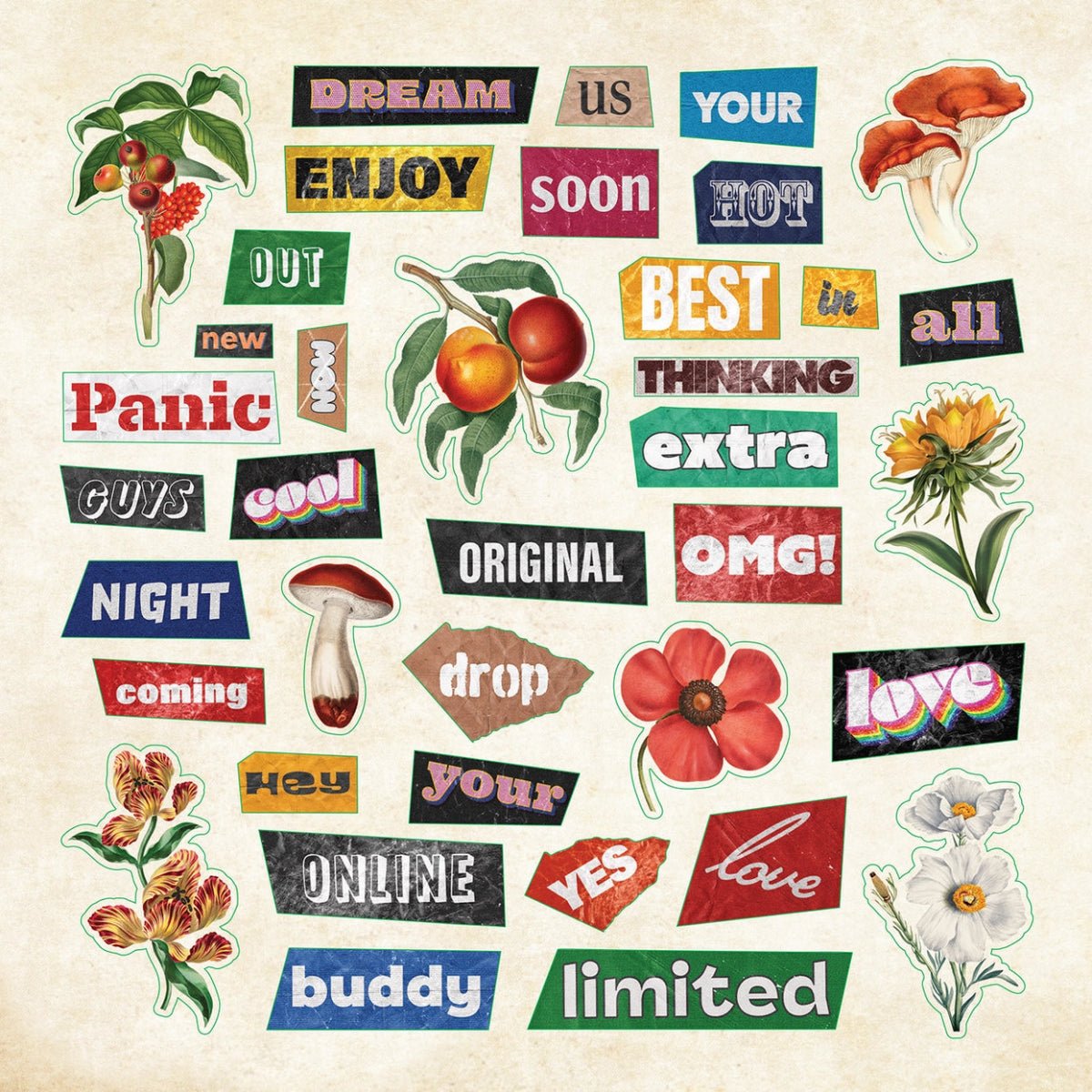 Ransom Notes Sticker Book - Twirls + Twigs