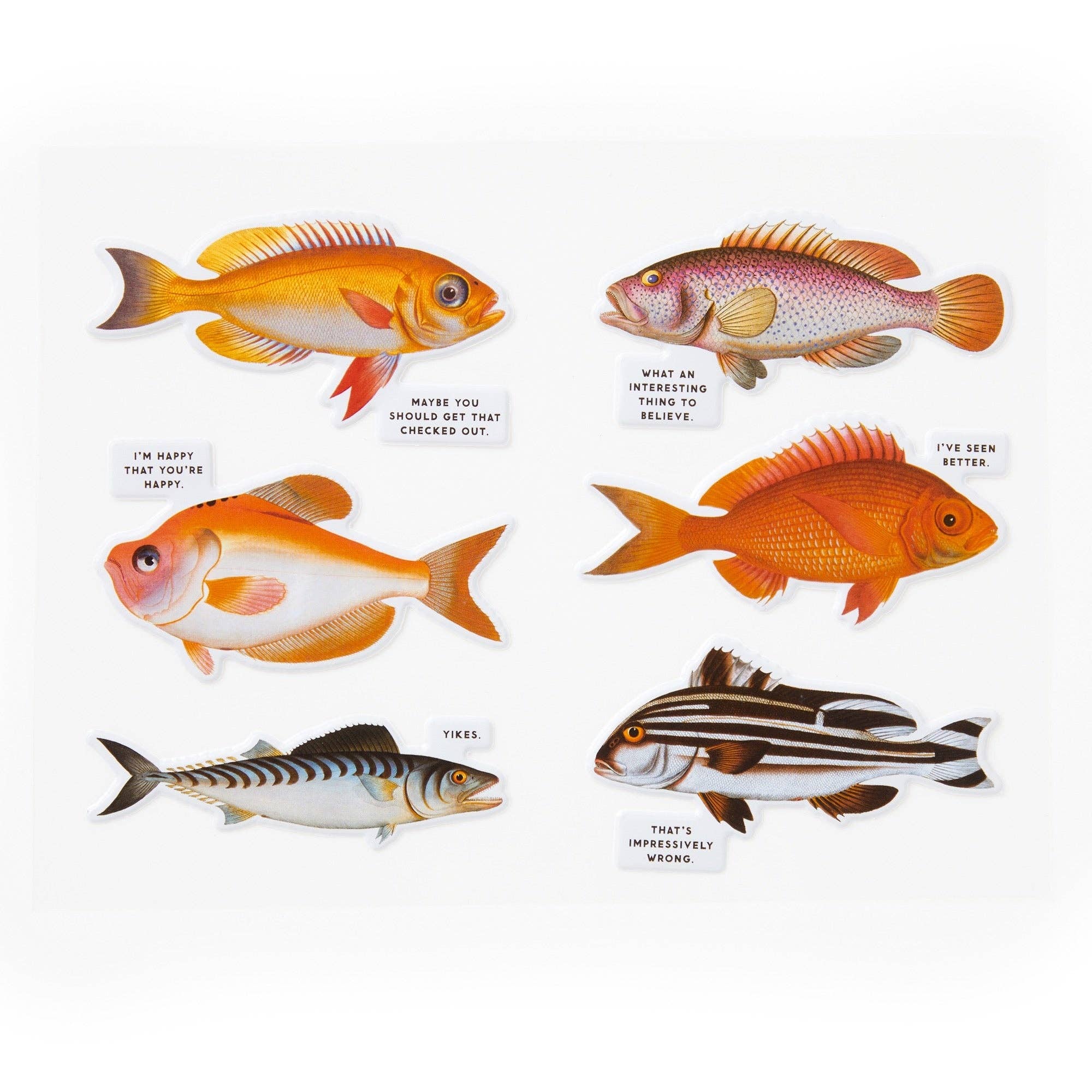 Judgy Fish 1000 Piece Puzzle - Twirls + Twigs