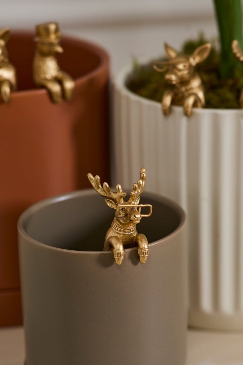 Eric+Eloise Huggers - Set of 6 - Twirls + Twigs