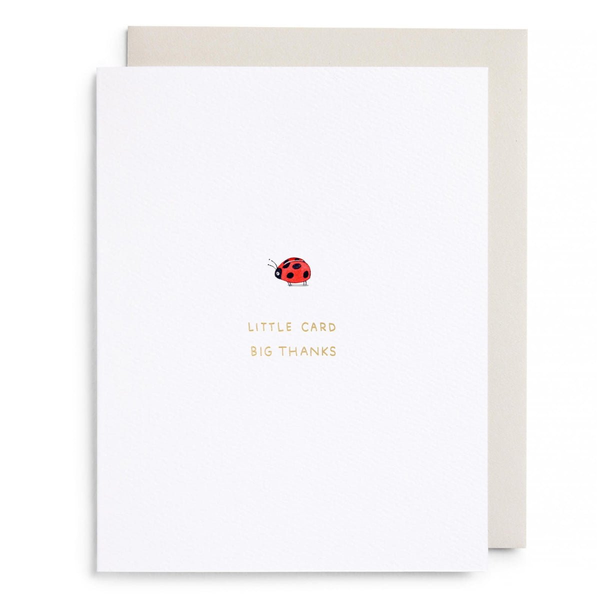 Little Card Big Thanks Greeting Card - Twirls + Twigs