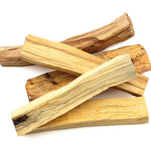 Palo Santo Single Stick - Twirls + Twigs