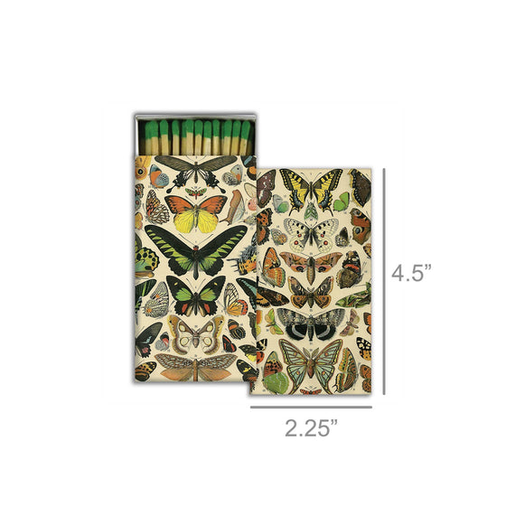 Matches - Butterfly Specimens