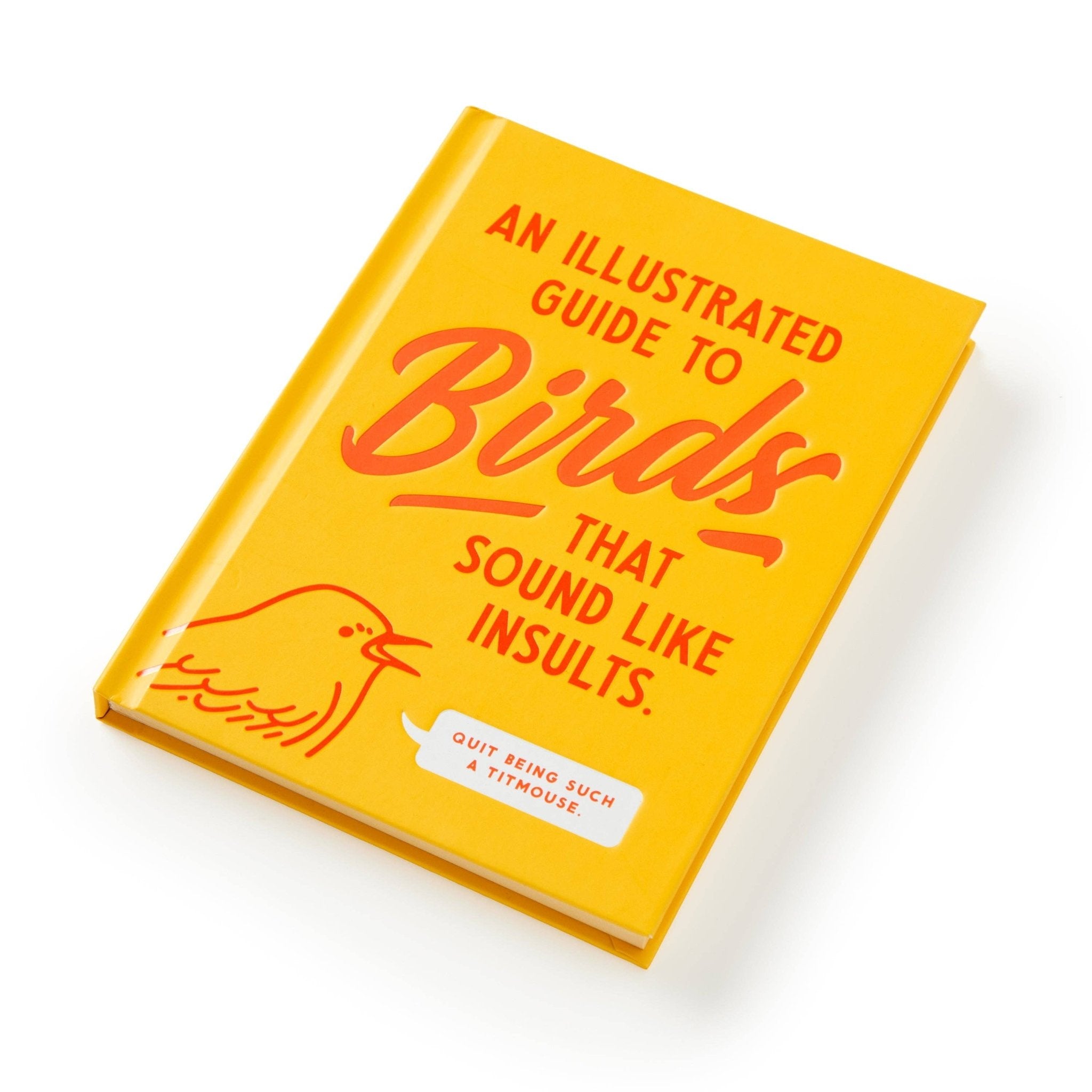 Brass Monkey Illustrated Guide to Birds - Twirls + Twigs