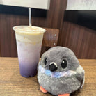 Pigeon Stress Borb 4.5" - Twirls + Twigs