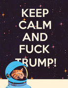 Keep Calm Space Cat Political Greeting Card - Twirls + Twigs