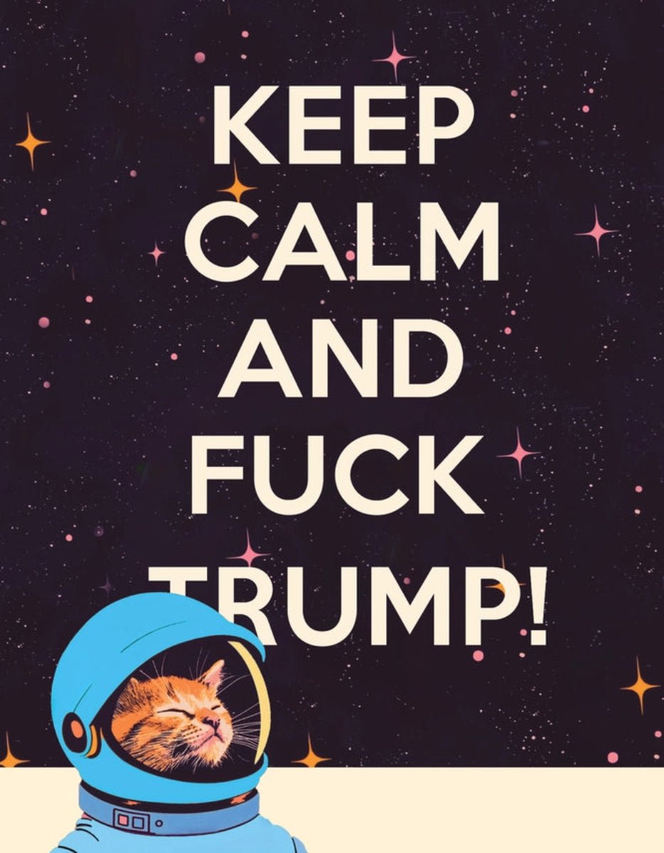 Keep Calm Space Cat Political Greeting Card - Twirls + Twigs