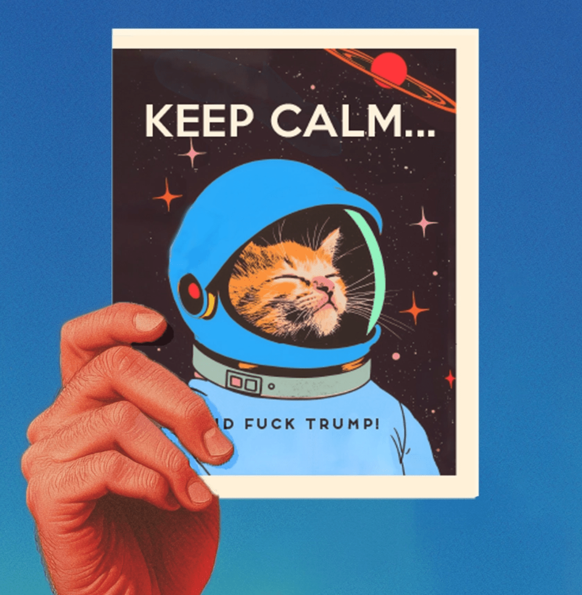 Keep Calm Space Cat Political Greeting Card - Twirls + Twigs