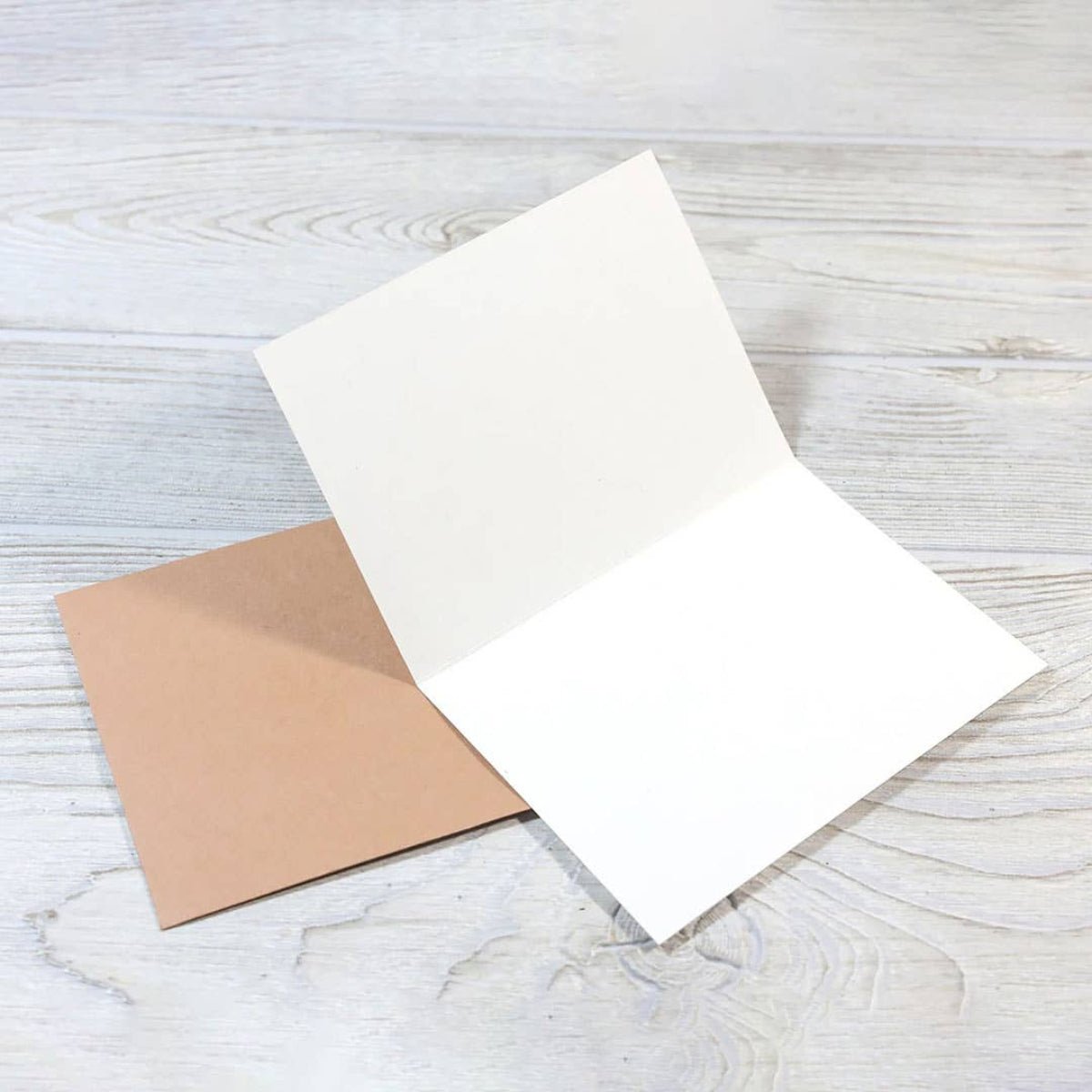 What the Fuck, Over - Funny Greeting Card - Twirls + Twigs